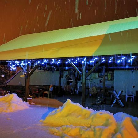 Limpedea Green House Baia Mare Eksteriør bilde