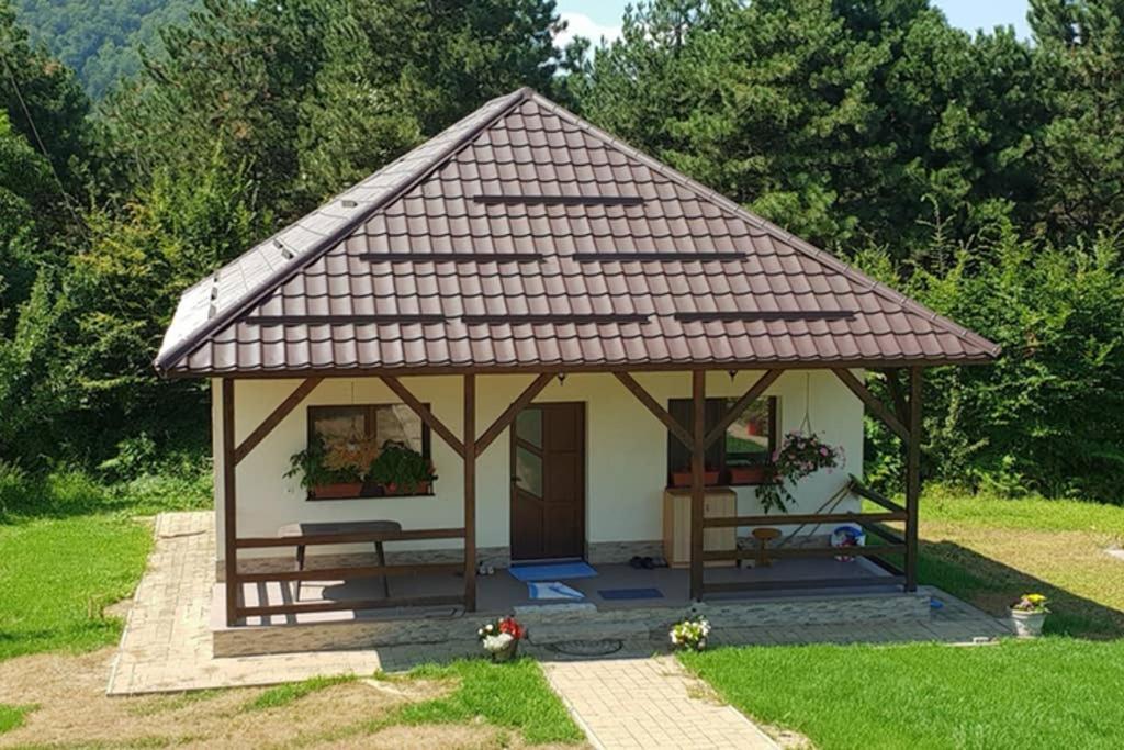 Limpedea Green House Baia Mare Eksteriør bilde