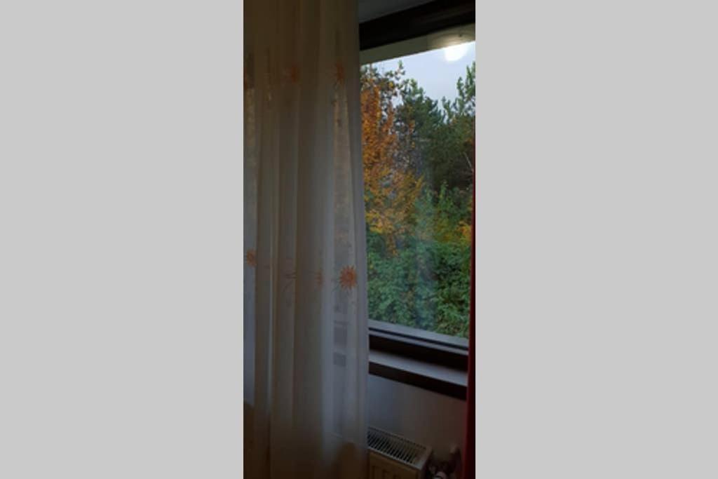 Limpedea Green House Baia Mare Eksteriør bilde