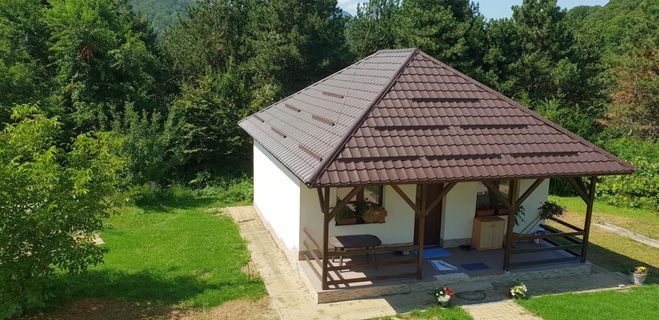 Limpedea Green House Baia Mare Eksteriør bilde