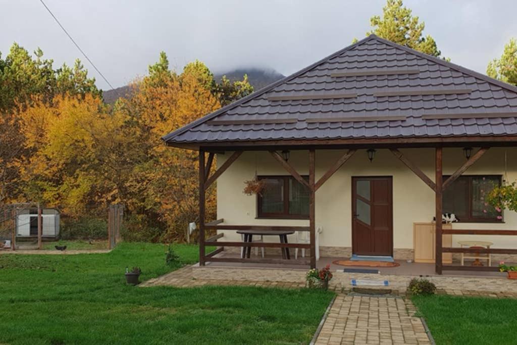 Limpedea Green House Baia Mare Eksteriør bilde