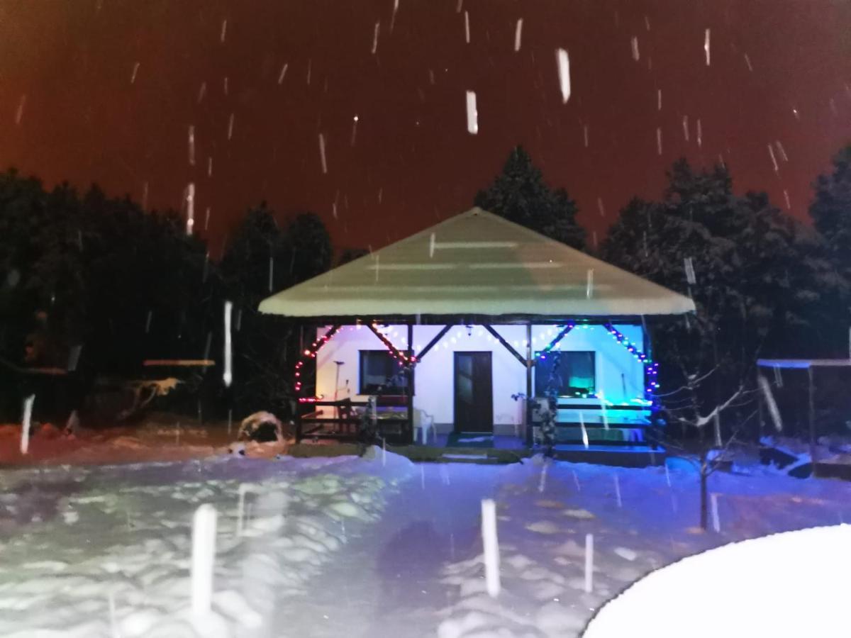 Limpedea Green House Baia Mare Eksteriør bilde