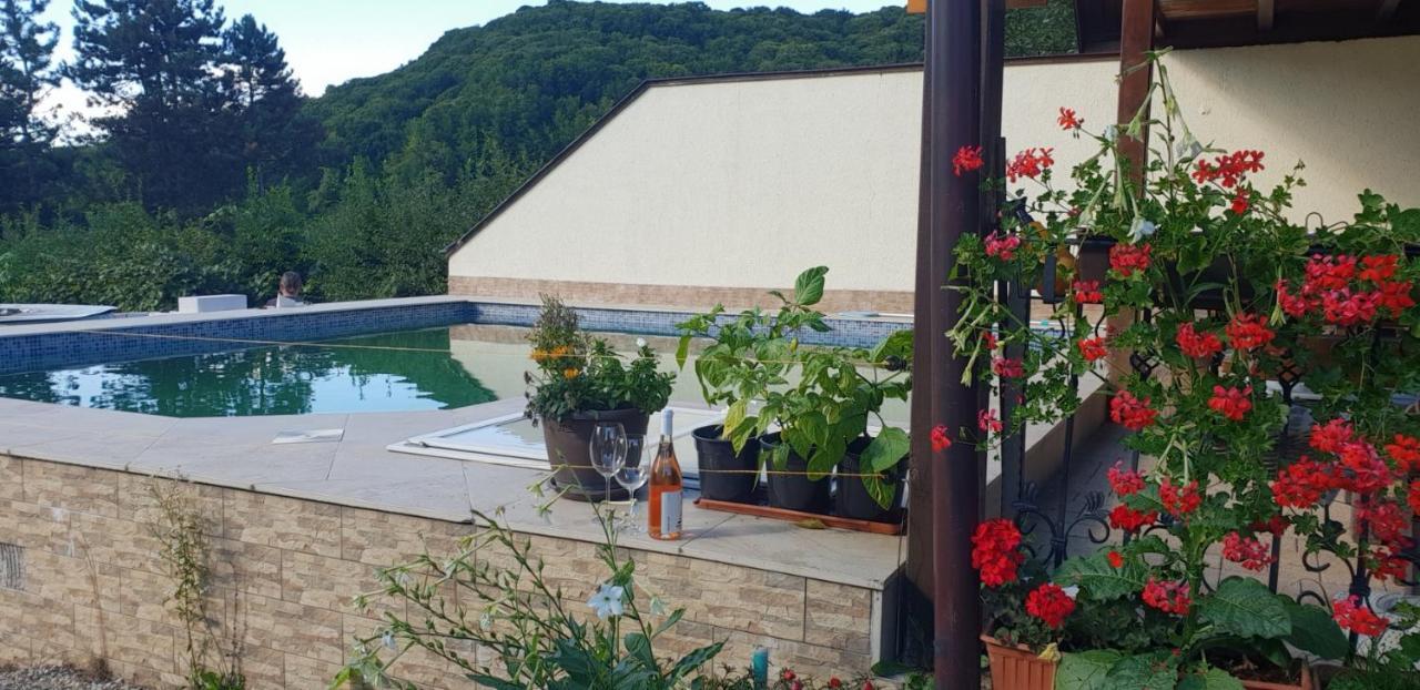 Limpedea Green House Baia Mare Eksteriør bilde